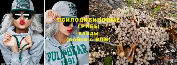 прущая мука Абаза