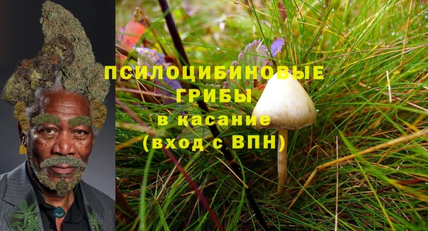 прущие грибы Алексин
